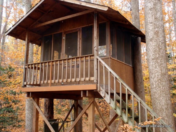 Treehouse Built By Dad Gluten Free Easily