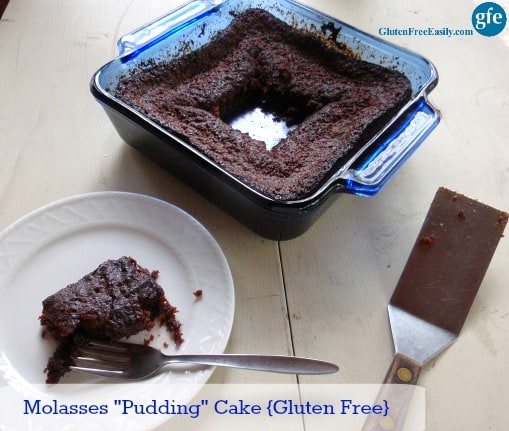 Molasses Pudding Cake Gluten Free Dairy Free Refined Sugar Free