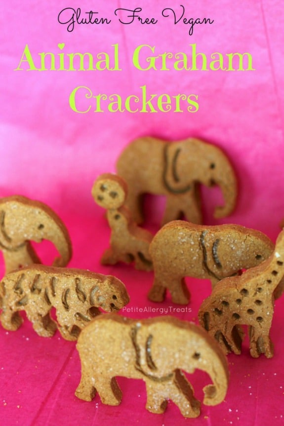 What's better than homemade animal crackers? Animal Graham Crackers! Gluten free and vegan from Petite Allergy Treats.