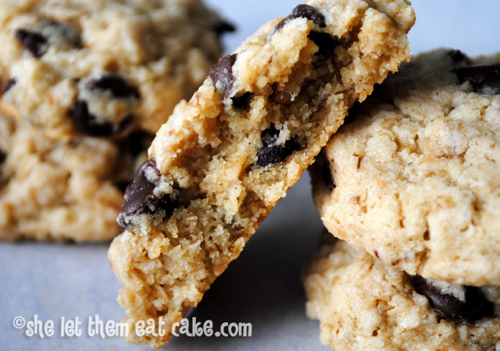 Gluten-Free Oatmeal Chocolate Chip Cookies