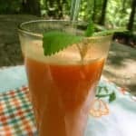 You can create your own homemade V-8 Splash Tropical Blend in a minute or two with just five ingredients only. It's tasty, healthy, and frugal! [from GlutenFreeEasily.com]