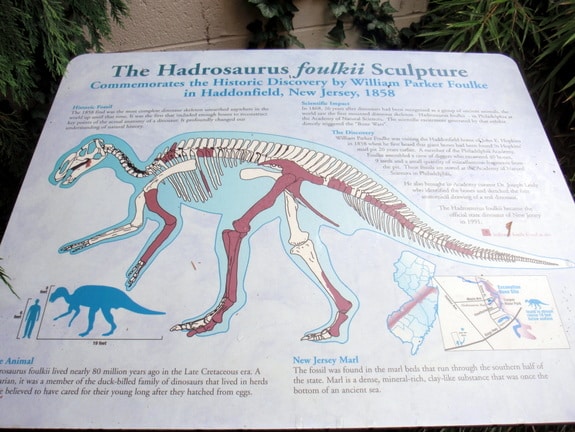 Information on Hadrasaurus Haddonfield NJ