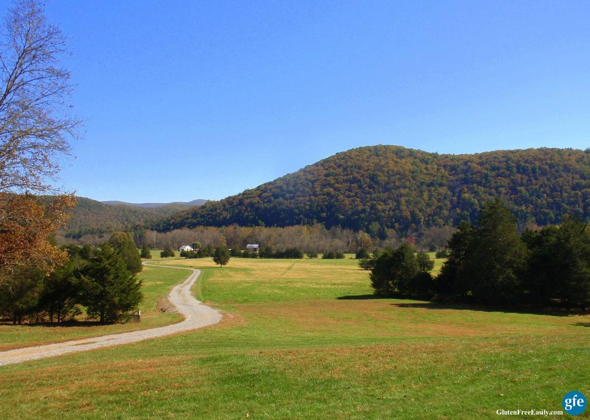 View from Blogging Retreat in Virginia Mountains