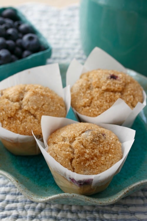Gluten-Free Blueberry Muffins from Learning to Bake Allergy Free Cookbook