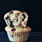 Fluffy Chocolate Chip Zucchini Muffins--Gluten free and vegan! From Spabettie for March Muffin Madness.