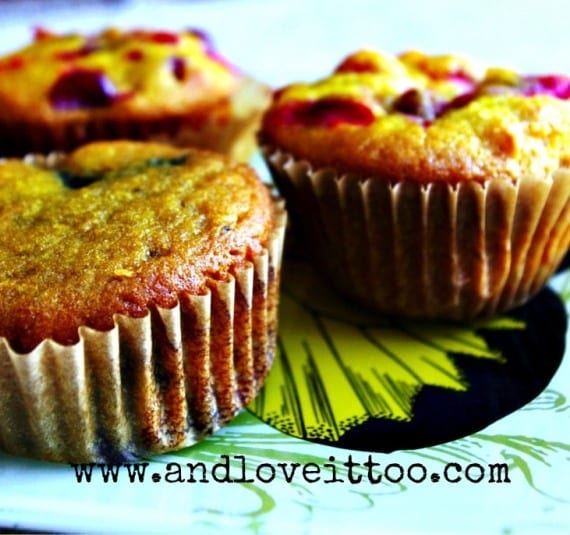 Gluten-Free Paleo Citrus Fruit Muffins from And Love It, Too! for March Muffin Madness. Close up, they're even better!