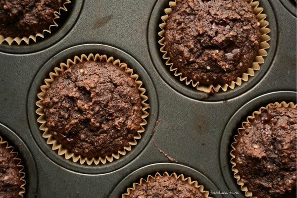 Paleo Chocolate Hemp Protein Muffins (with a Low-Carb Option) from Forest and Fauna--March Muffin Madness!