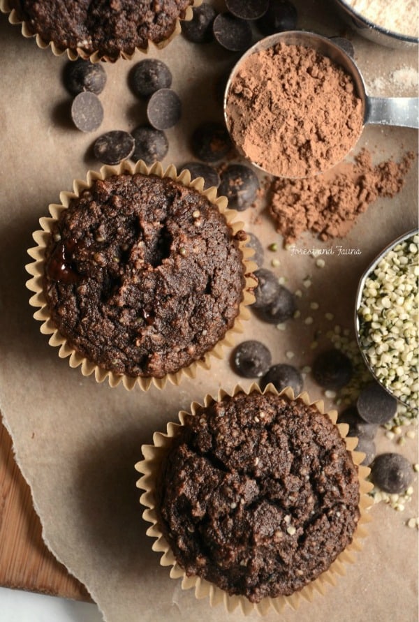Don't you love it when you can get a good dose of protein and healthy fats to jump start your day?! Paleo Chocolate Hemp Protein Muffins from Forest and Fauna