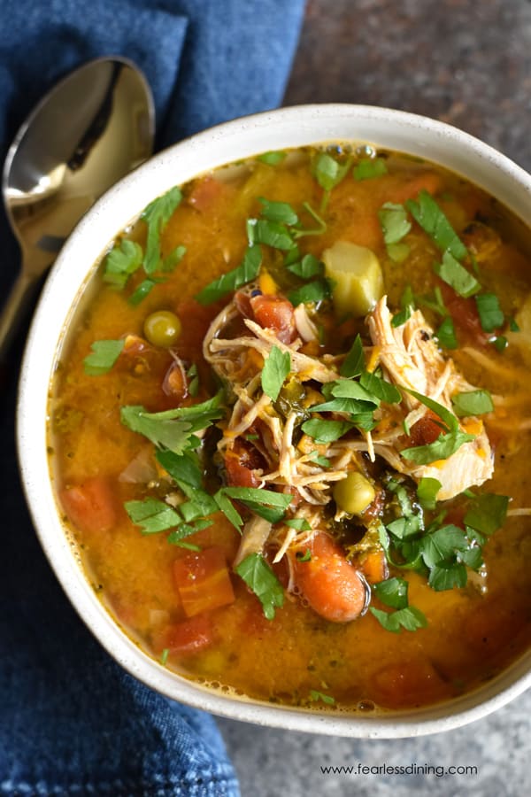 Instant Pot Shredded Chicken with Vegetables Soup. One of the many wonderful gluten-free chicken noodle soup recipes featured on gfe. [from GlutenFreeEasily.com]