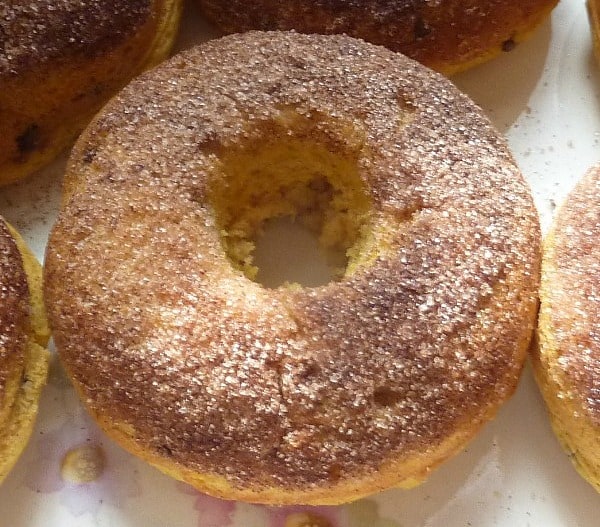 Gluten-Free Pumpkin Chocolate Chip Donuts Closeup [from GlutenFreeEasily.com]