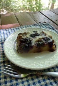 gluten free blueberry streusel coffee cake