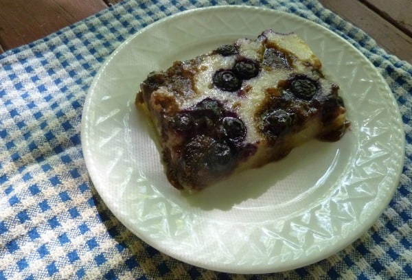 Gluten-Free Blueberry Streusel Coffee Cake on gfe.