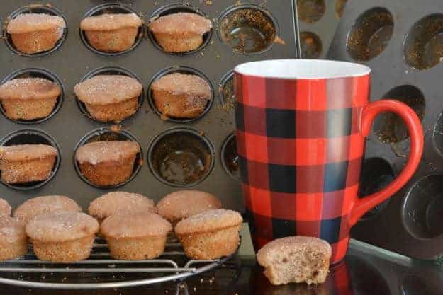 These gluten-free Muffins That Taste Like Donuts really do taste like donuts! They are mini muffins that taste like Grandma's gluten-full cinnamon-sugar coated donut holes from back in the day! One of 20 gluten-free muffin recipes featured on gfe for March Muffin Madness.