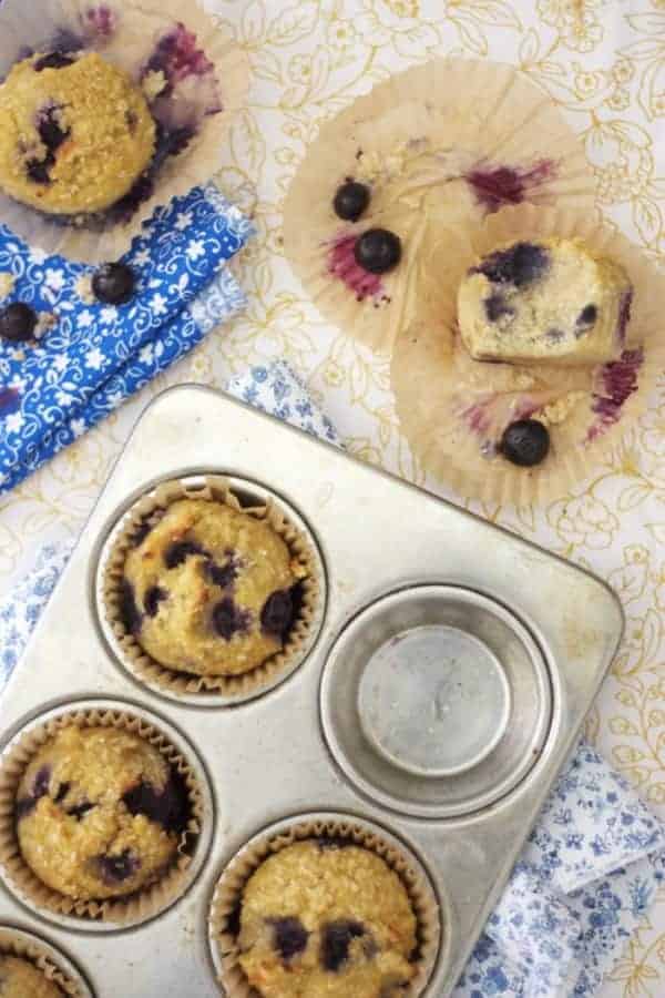 Paleo Shredded Coconut Blueberry Muffins. Amazing texture for starch-free muffins. One of 20 gluten-free muffin recipes featured on gfe for March Muffin Madness.