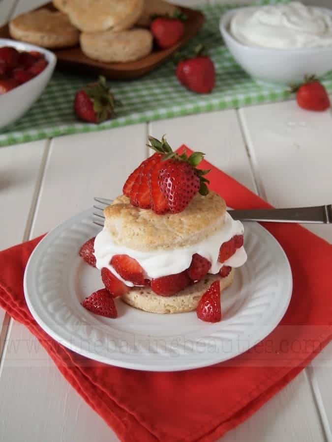 Gluten-Free Classic Strawberry Shortcake. One of 25 gluten-free shortcake recipes featured on gfe. [featured on GlutenFreeEasily.com]