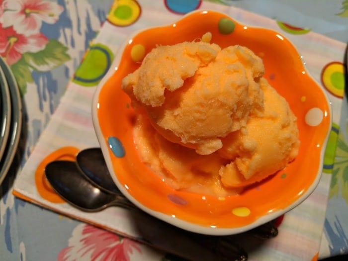 This Super Easy Homemade Orange Sherbet is made from just three ingredients and ALWAYS makes the party. [from GlutenFreeEasily.com]