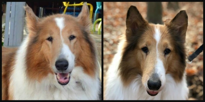 Sandy Before and After. [from GlutenFreeEasily.com]