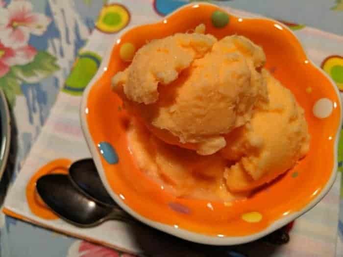 Three-Ingredient Super Easy Homemade Orange Sherbet That Makes the Party. Orange soda, sweetened condensed milk (dairy-free, if you like), and crushed pineapple are ingredients in this vibrant and delicious orange sherbet. [from GlutenFreeEasily.com]