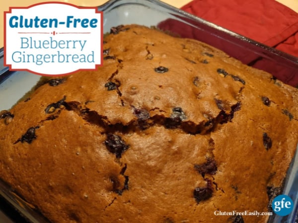 Gluten-Free Blueberry Gingerbread