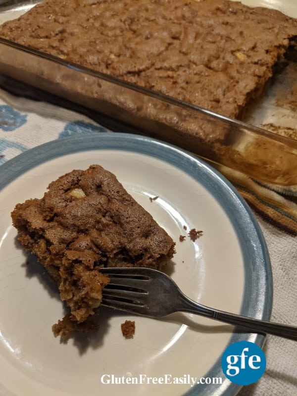 Gluten-Free Apple Cinnamon Cake in glass baking dish after cooling and some slices removed. Grain free and dairy free, too! And no added fat. From glutenfreeeasily.com.