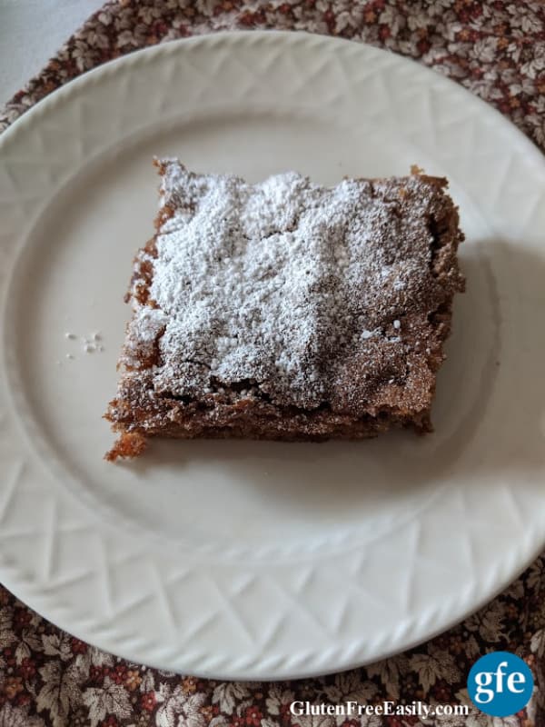 Gluten-Free Apple Cinnamon Cake. Grain free and dairy free, too! And no added fat. A slice sprinkled with powdered sugar. From glutenfreeeasily.com.