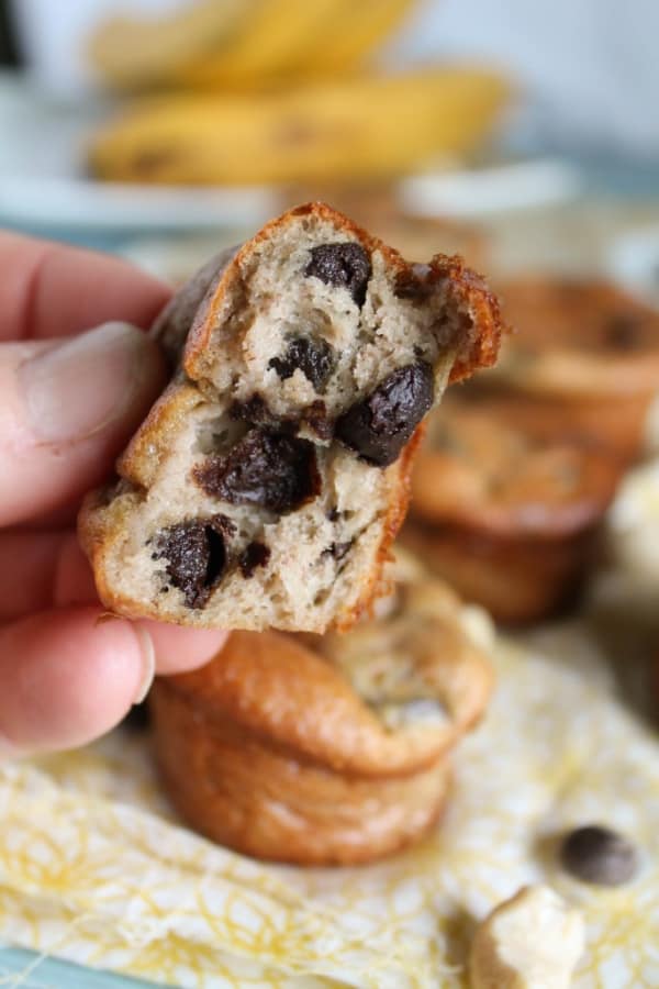5-Minute Paleo Muffins with Bananas and Chocolate Chips. Gluten-free, grain free, dairy free, with egg-free, refined sugar-free options. From Tessa the Domestic Diva.