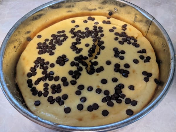 Cheesecake senza crosta senza glutine con mini gocce di cioccolato aggiunte in una teglia a cerniera appena sfornata.