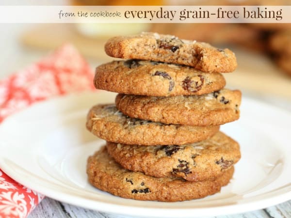 Gluten-Free Grain-Free Almost Oatmeal Cookies. One of the 20 + oat-free "oatmeal" recipes featured on GlutenFreeEasily.com.