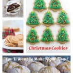 30 More Gluten-Free Christmas Cookies You'll Want To Make Right Now Part 3