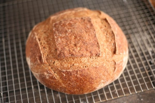 Gluten-Free 24-Hour Sourdough Bread from Gluten-Free Gourmand