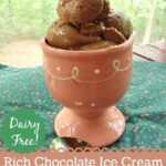 Rich Chocolate Ice Cream. Made from just four ingredients, including those ripe bananas you always have on the counter. Dairy free, rich, creamy & delicious. [from GlutenFreeEasily.com]